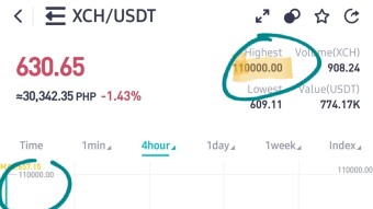 CHIA (XCH) Listed on CoinEx‼️ $110,000.00⁉️