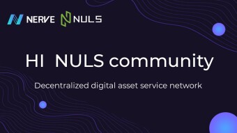 A Letter to the NULS Community From Nerve