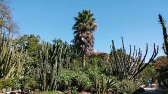 Trip to Portugal - Botanical garden of Porto #2