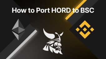 How to Port HORD Tokens to&nbsp;BSC - Step-by-Step Tutorial