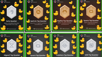 We Keep Quacking On Wallchain