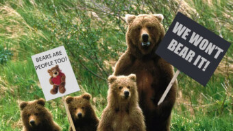 These woodland creatures support climate change