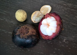 My trip around Asia - Java, Banyuwangi city, Mangostan and Duku fruit