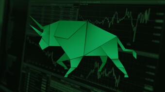 Bulls Meet the Halving