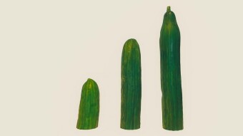 Pickle Finance - DeFi with a Cucumber Flavour