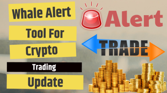 Tool for Crypto Market Transaction Updates Whale Alert