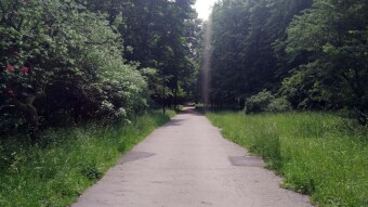 Another cool and capricious day - My Actifit Report Card: June 9 2025