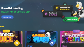 GooseBet Is Fun and Cool! Daily Profit Share Is A Good Extra Income!