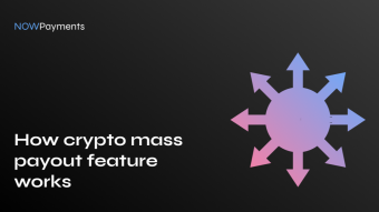 How crypto mass payments feature works
