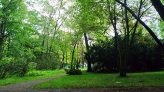 Warm, green and beautiful - My Actifit Report Card: June 3 2025