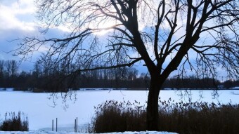 Little sun, but spring-like - My Actifit Report Card: February 21, 2026
