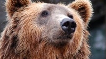How to profit in a crypto bear market