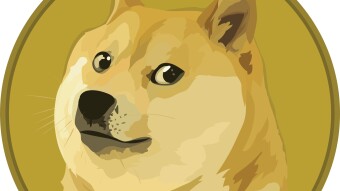 MEME Coin: Art, Community and the Cryptocurrency Revolution
