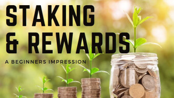 Staking & Rewards - A Beginner's Impression