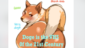 DOGE does for Crypto what VHS did for video-recorders but without the porn