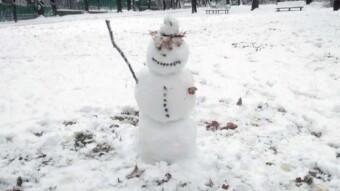 Monday after a frosty night, very wintry - My Actifit Report Card: November 24, 2025