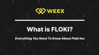 What is FLOKI: Price Analysis, Fees, Ecosystem | WEEX.com