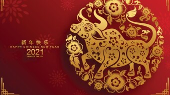 Celebrating Chinese New Year In Hong Kong