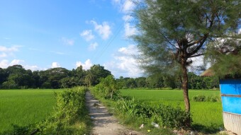 Nature Photography