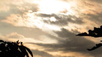 Prose Poem: Kiss of Halo
