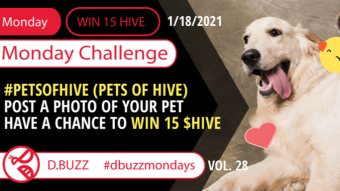 Win 15 HIVE >> Monday Challenge >> From D.Buzz (ROUND 28) - PETS