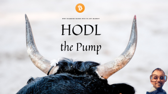 🚀 HODL the Pump: Why Diamond Hands Win in Any Market