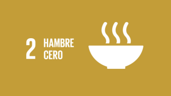 CoinEx Charity ofrece ayuda humanitaria y genera conciencia sobre el hambre mundial