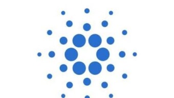 All the things you Know about cardano stake pool