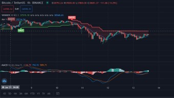 Bitcoin: Pump or Dump?
