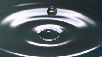 Cultivating A Beginner's Mind