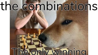 Doggo chess master dispense wisdom