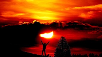 Appear Weak When You Are Strong