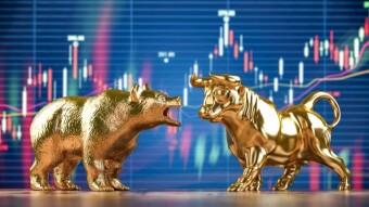 Bear, Bull, and Crypto winter?! Where do the terms come from???
