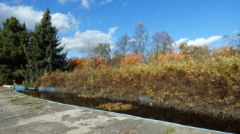 Sunny and relatively warm, so a long walk and a visit to the birds is included - My Actifit Report Card: November 7 2023