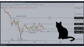 Will Bitcoin Crash?