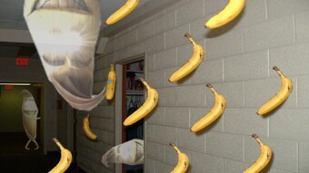 I Have A BANANO Giveaway For You. I Need YOUR HELP.