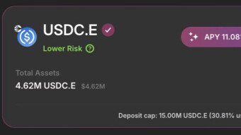 Exploring Summer.fi’s USDC.e Vault on Sonic: Where Safety Meets DeFi Yield