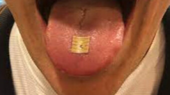 A Tiny Chip