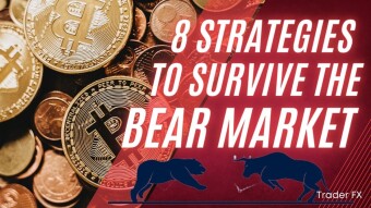 8 Strategies To Survive The Bear Market