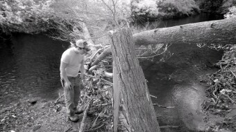 Looking for critters by the creek - Infrared Photography