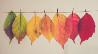 Get to know "seasons" in the crypto world