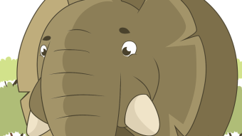 Elephant Steals Hat