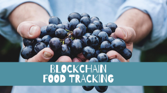 Food Companies start using the Blockchain Technology to Track their Products