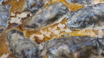 Foodbook #350 Greek Dolmades - Stuffed Vine Leaves