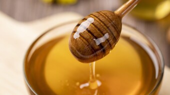 Long-Term Survival Foods