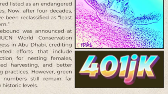 The News, Bruh. Vol 2, ed. 43: Breaking 401K