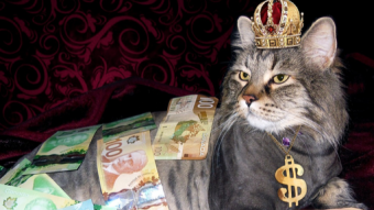 Getting rich is not very difficult