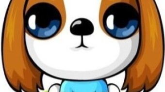 Kainu Inu Airdrop - Free 1 Million KAINU ($100)