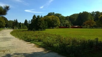 The days are getting shorter, but still warm and pleasant - My Actifit Report Card: August 24 2023