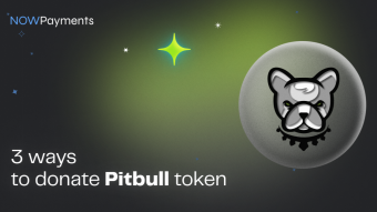 3 Ways to Accept Donations in Pitbull Crypto